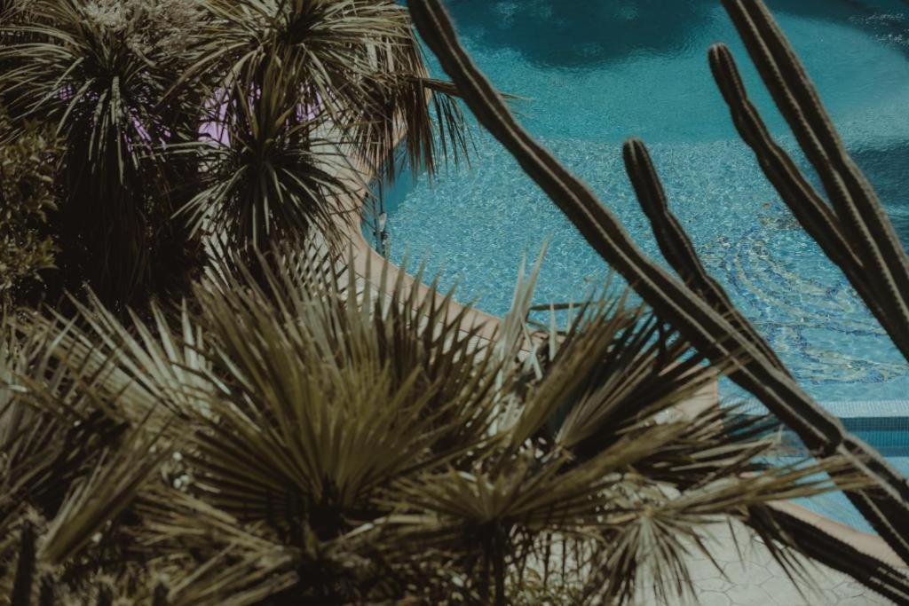 ديرمي Nonna'S Boutique Hotel المظهر الخارجي الصورة